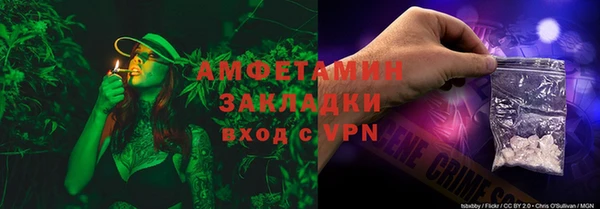 ECSTASY Богданович