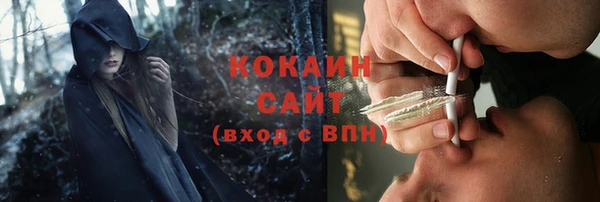 PSILOCYBIN Белокуриха