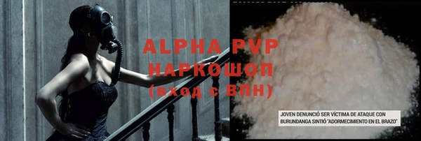 PSILOCYBIN Белокуриха