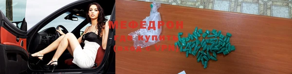 ECSTASY Богданович