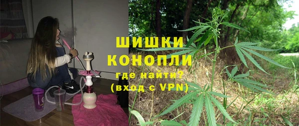 PSILOCYBIN Белокуриха