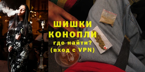 ECSTASY Богданович