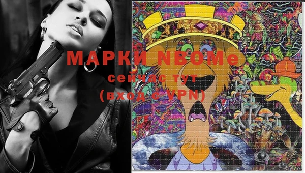 ECSTASY Богданович