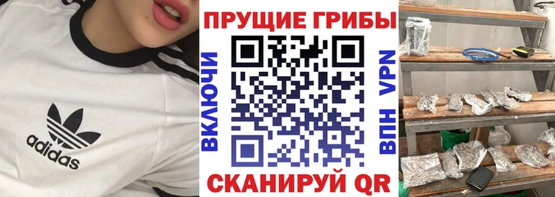 Галлюциногенные грибы Magic Shrooms  МЕГА ССЫЛКА  Калининец 